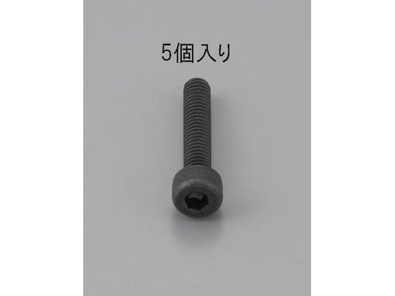 エスコ 六角穴付ボルト 全ねじ BC 5本 M10×22mm