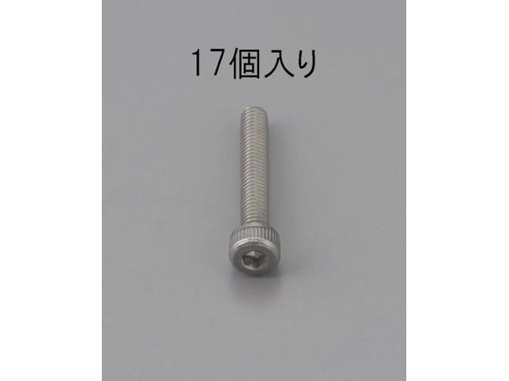 エスコ 六角穴付ボルト ステンレス製 17本 M6×10mm EA949MB-610
