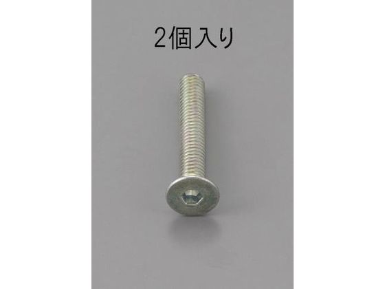 エスコ 六角穴付皿頭ボルト 三価クロメート 2本 M8×10mm