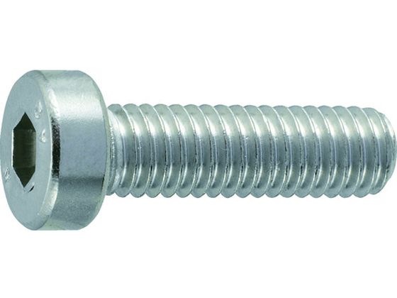 TRUSCO 低頭六角穴付ボルト ステンレス全ネジ M3×6 17本入 B089-0306 TRUSCO 低頭六角穴付ボルト ステンレス全ネジ M3×6 17本入 B089-0306