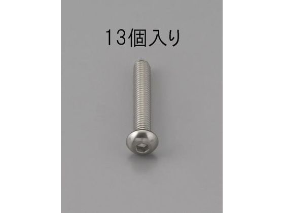 エスコ 六角穴付鍋頭ボルト ステンレス製 13本 M4×25mm