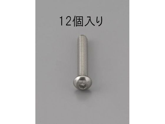 エスコ 六角穴付鍋頭ボルト ステンレス製 12本 M6×12mm エスコ 六角穴付鍋頭ボルト ステンレス製 12本 M6×12mm