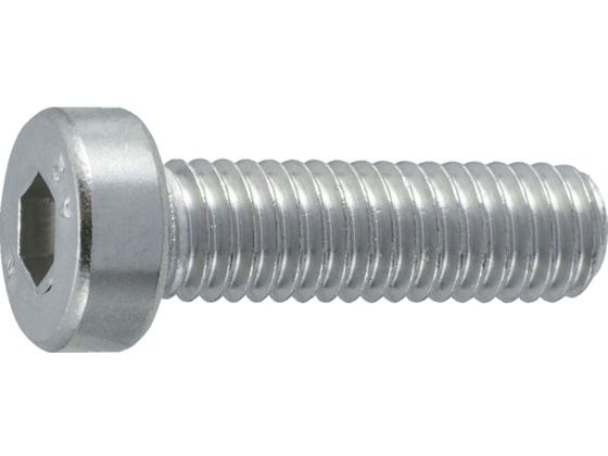 TRUSCO 低頭六角穴付ボルト ステンレス全ネジ M4×12 13本入 B089-0412 TRUSCO 低頭六角穴付ボルト ステンレス全ネジ M4×12 13本入 B089-0412