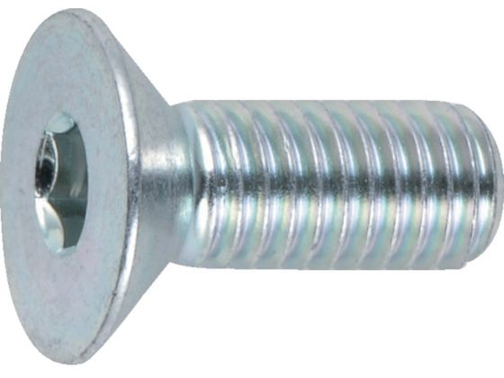 TRUSCO 六角穴付皿ボルト三価 白 全ネジ M4×15 24本入 B773-0415 TRUSCO 六角穴付皿ボルト三価 白 全ネジ M4×15 24本入 B773-0415