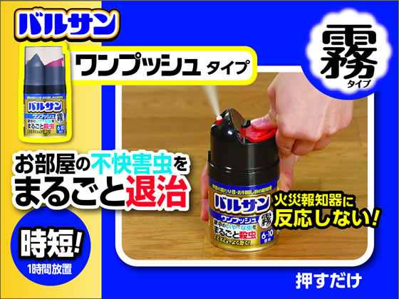 レック バルサン ワンプッシュ 霧タイプ 93g 2が2 593円 ココデカウ