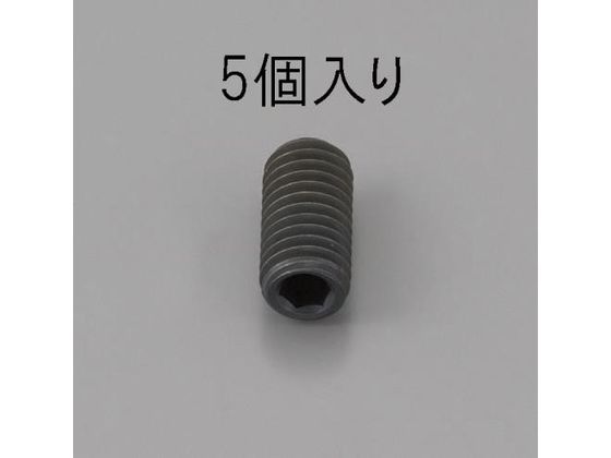 エスコ 六角穴付止ねじ クロメート 5本 M12×14mm