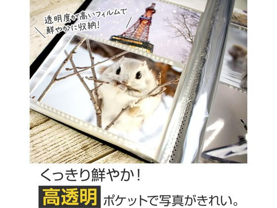 いぉエル様　写真ご確認ください セキセイ sekisei フォトアルバム 高透明 Lサイズ 300枚 ブルー