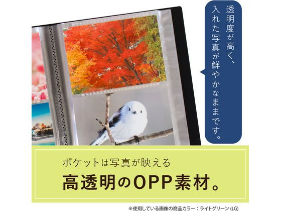 禁生 フォトアルバムセット Amazon | セキセイ SEKISEI アルバム ポケット フォトアルバム L