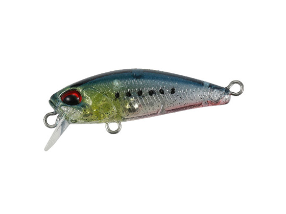 デュオ TW トトファット 35S CCC0475 LG透けイワシ