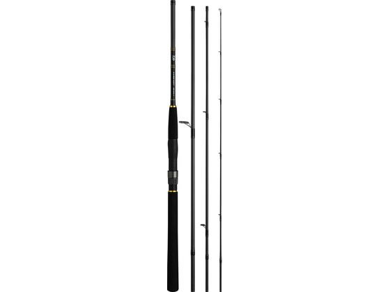 _C A[jXg oC 96M-4