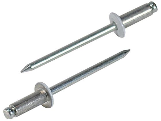 エビ カラーブラインドリベット5-2アルミ/スチール(300本入)リベット長7.2MM ホワイト CNSA52WEB エビ カラーブラインドリベット5-2アルミ/スチール(300本入)リベット長7.2MM ホワイト CNSA52WEB
