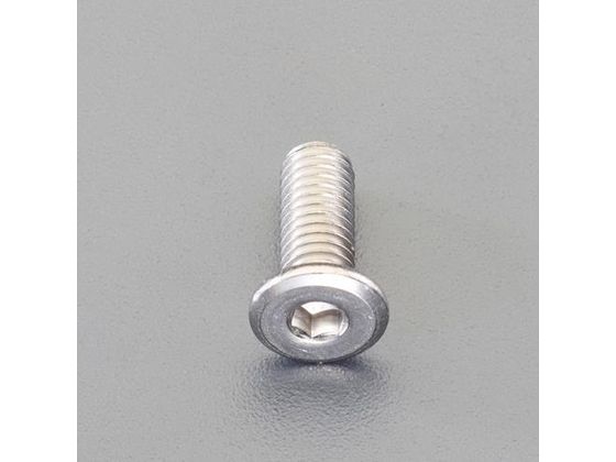 エスコ 六角穴付ボルト 超低頭 ステンレス 2本 M5×20mm