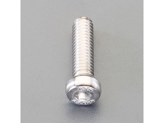 エスコ 低頭六角穴付ボルト SUS 1本 M10×20mm [A2-100]
