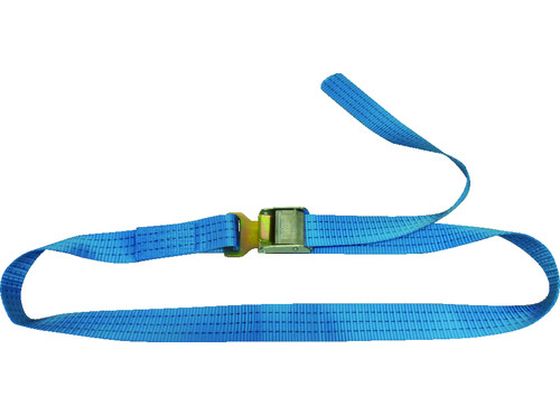 TESAC ラッシングベルト(ベルト荷締機)カムバックル式エンドレスフックタイプ