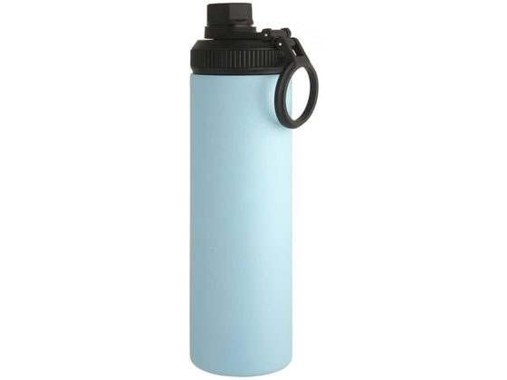 リビング WELF ウェルフ スリムマグボトル 650mL ブルー リビング WELF ウェルフ スリムマグボトル 650mL ブルー
