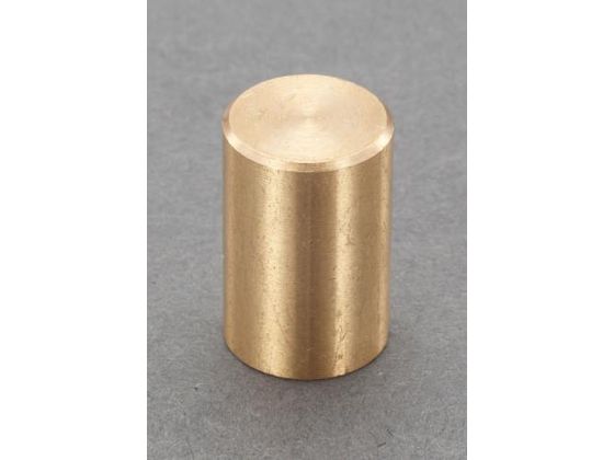 エスコ 強力マグネット φ10×20mm 40N EA781EF-23