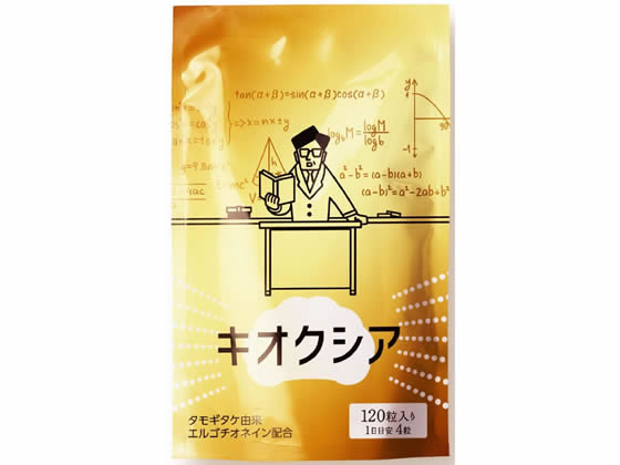 HTD キオクシア 120粒 HTD キオクシア 120粒