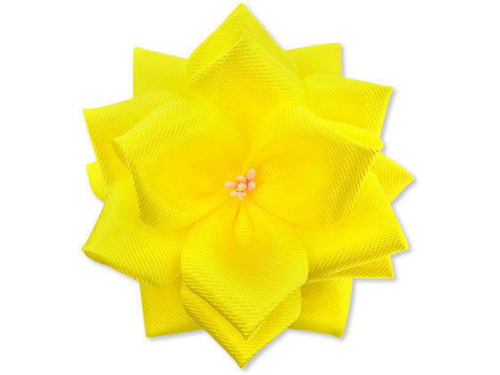 �T�T�K�� ���{���o������ �� �� �^���Ȃ� �Ԍa70mm 20��