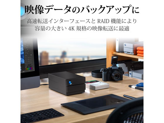 エレコム LaCie 2big RAID USB-C 28TB STHJ28000800