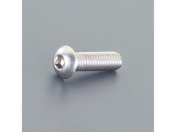 エスコ 六角穴付鍋頭ボルト 2本 M6×30mm EA949HH-27