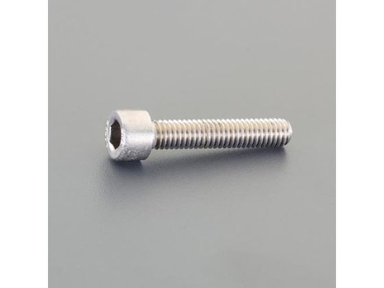エスコ 六角穴付ボルト 2本 M4×12mm EA949HH-31