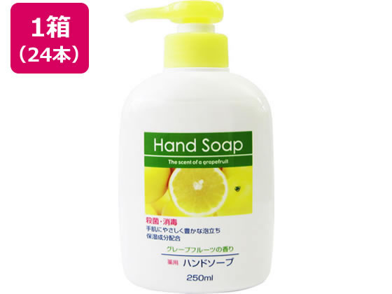 第一石鹸 第一薬用ハンドソープ本体 250mL×24本