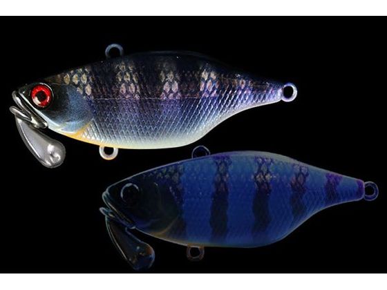 ジャッカル TN 60 トリゴン #マルハタケイムラギル