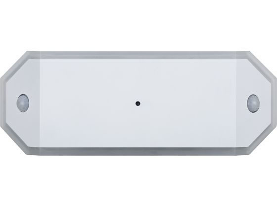 アイリスオーヤマ 乾電池式LEDライト ダブルセンサー廊下タイプ BSL-RWMS