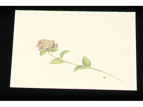 A[ebN ڎO ΂܂ N[ 100 WSS-6 