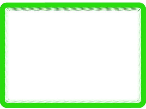 tarifold ディスプレイポケット マグネットタイプ A4サイズ 2枚入 緑