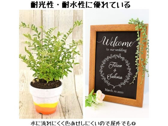 サクラクレパス ピグマックス細字 12色セット ZPK-S12が851円