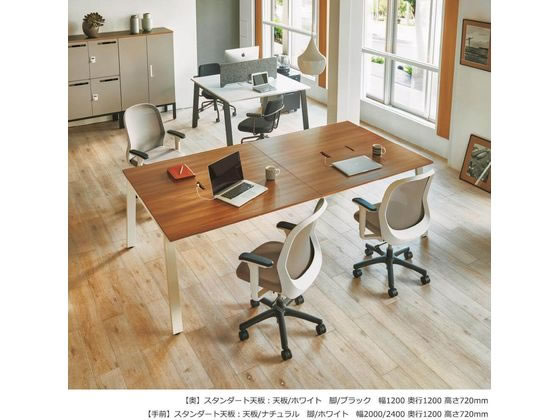 ガラージ Mrフリースタイルデスク スタンダード W3000 D10 が155 540円 ココデカウ ガラージ Mrフリースタイルデスク スタンダード W3000 D10 が155 540円 ココデカウ