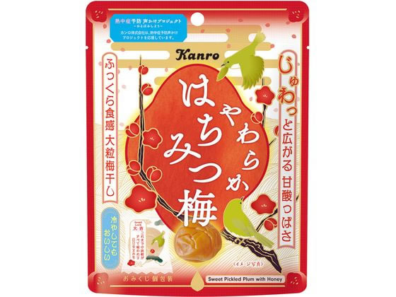 カンロ やわらかはちみつ梅 40g カンロ やわらかはちみつ梅 40g