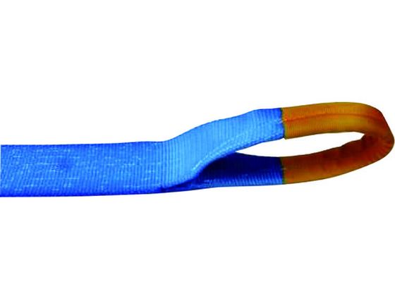 TESAC ラッシングベルト(ベルト荷締機)ラチェットバックル式アイタイプ