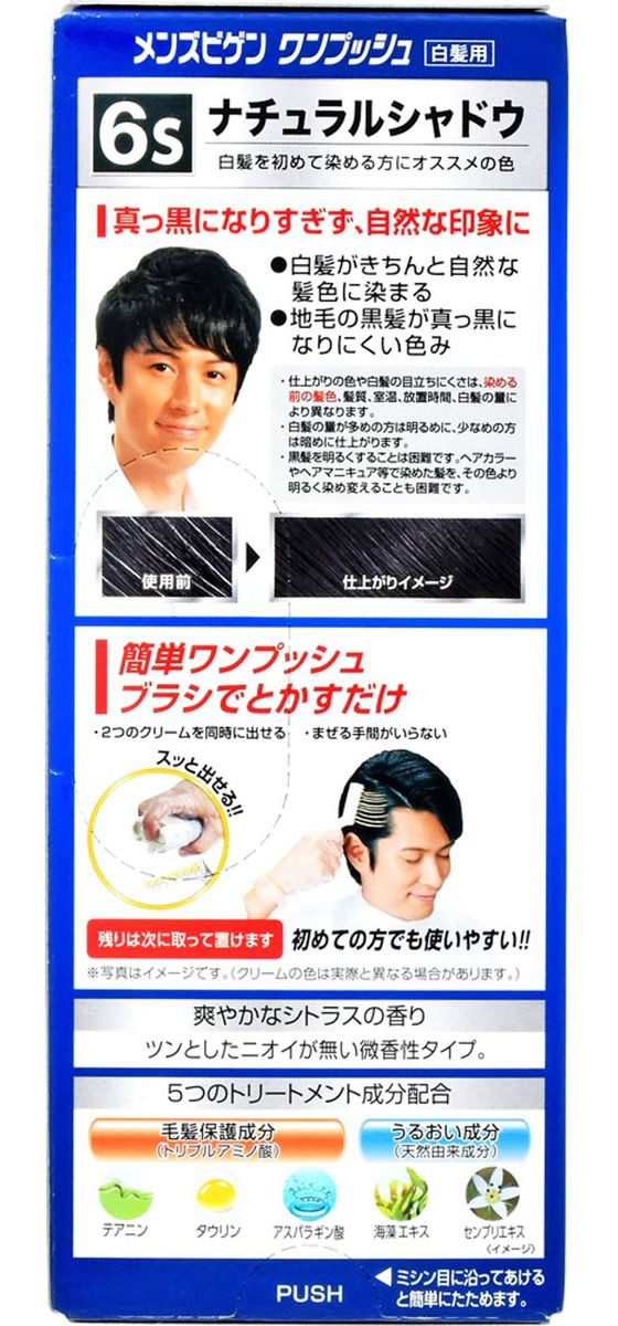 【14個セット】ホーユー メンズビゲン ナチュラルシャドウ6s ワンプッシュ ホーユー メンズビゲンワンプッシュ 6S ナチュラルシャドウ