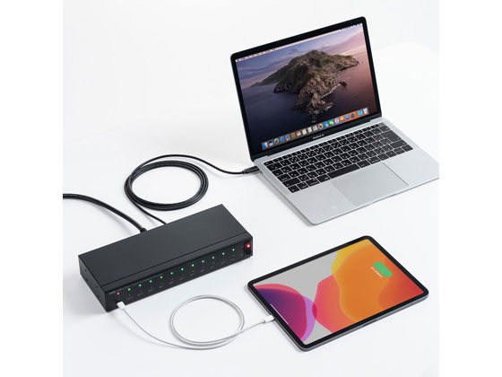 サンワサプライ USB2.0 Type-C 12ポートハブ USB-2THCS12が