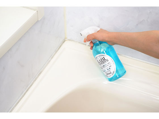 アーネスト 乳酸クリーナー カビグッバイ 500mL A-76509が1,100円 通販