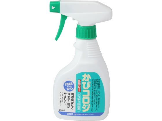 サンデーペイント 乳酸かび取り洗浄剤 かびコロジ 250mL