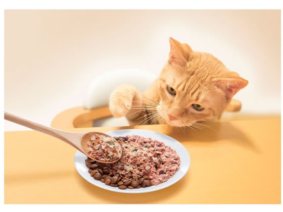 はごろもフーズ ねこふり 煮干し味 15g