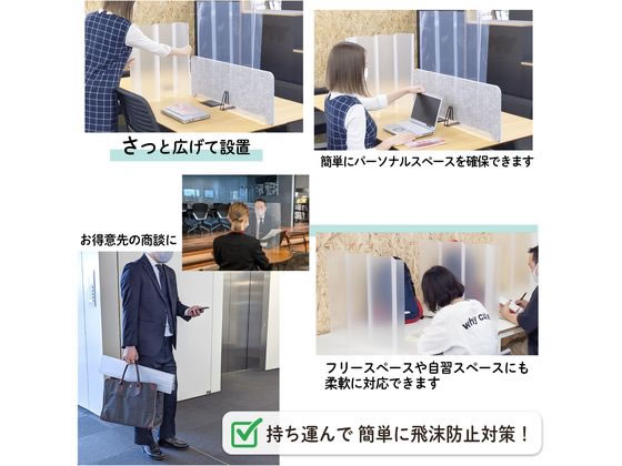 プラス 屏風型パーテーション 卓上タイプ マット 10枚 BDP-55R-MT 428 