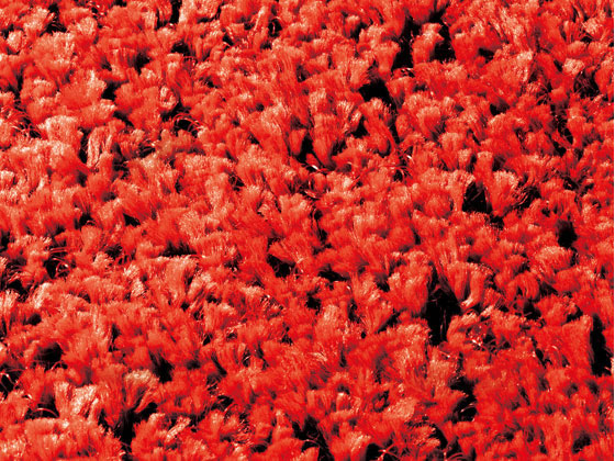 雨天用マット 600×900 レッド MR0250402