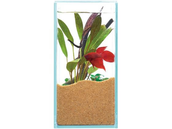 ジェックス グラステリア フィット 200が2,335円 通販【ココデカウ