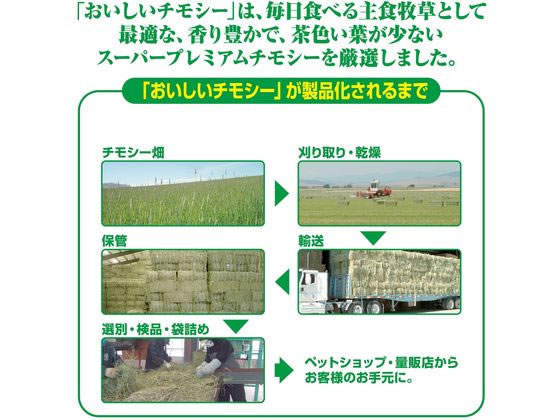 MIHO　チモシー　19kg ＋ オーツ 　1kg ジェックス おいしいチモシー 1.1kgが951円 通販【ココデカウ