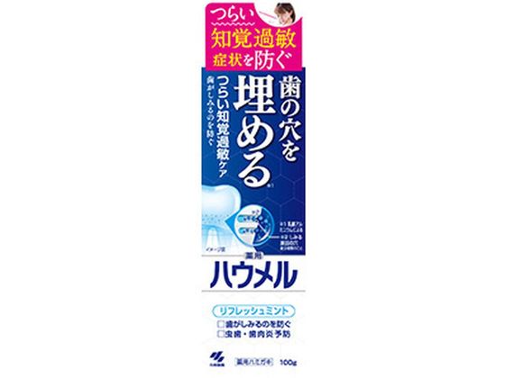 小林製薬 薬用ハウメル 100g