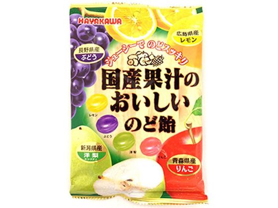 早川製菓 国産果汁のおいしいのど飴 90g 早川製菓 国産果汁のおいしいのど飴 90g