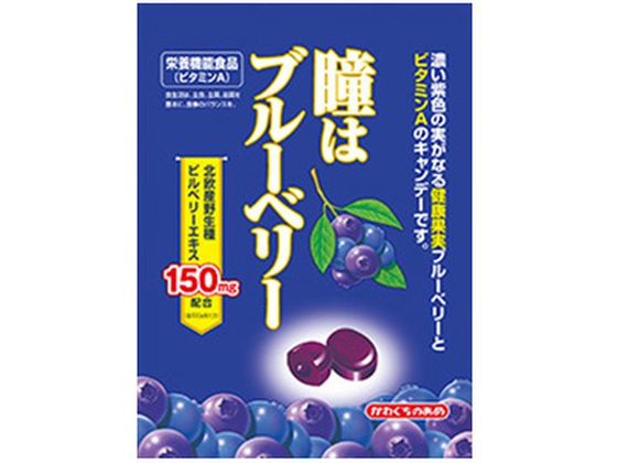 ������� ���̓u���[�x���[ 100g