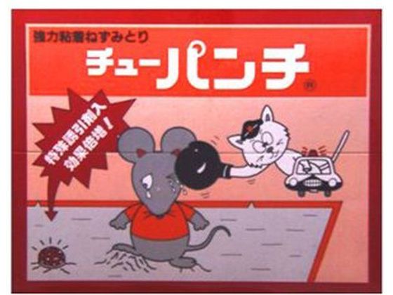 大木製薬 チューパンチ 2枚入