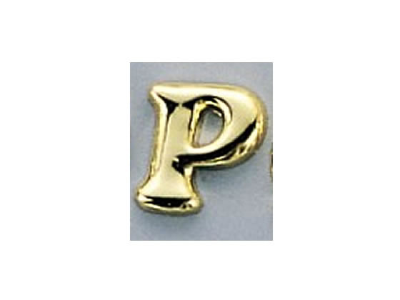 光 ゴールド切文字 大 P ABG20-P