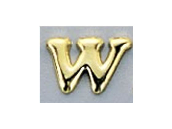 光 ゴールド切文字 大 W ABG20-W