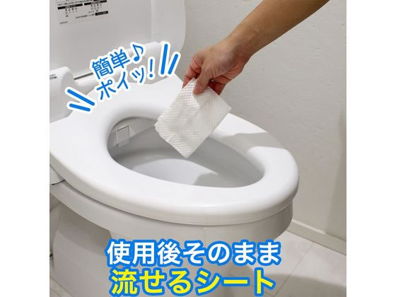第一石鹸 ルーキー トイレ除菌クリーナー500ml 1セット（24本） まとめ) 第一石鹸 ルーキー トイレ除菌クリーナー 500ml 1本 ×30